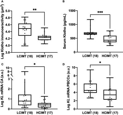 Klotho inversely relates with carotid intima- media thickness in atherosclerotic patients with normal renal function (eGFR ≥60 mL/min/1.73m2): a proof-of-concept study